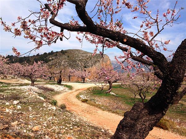 Sierra de Aitana walking holiday in Spain