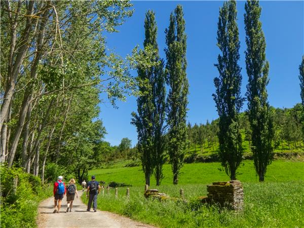 Camino de Santiago trekking holiday in Spain