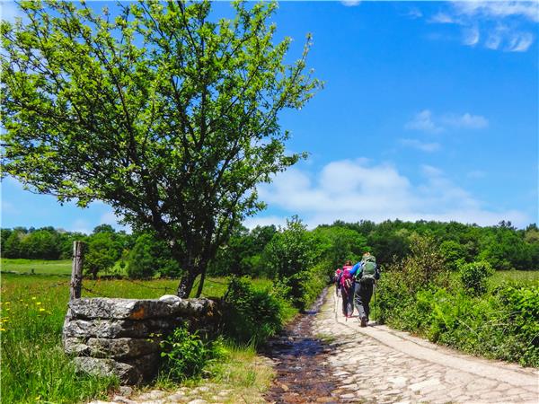 Camino de Santiago trekking holiday in Spain