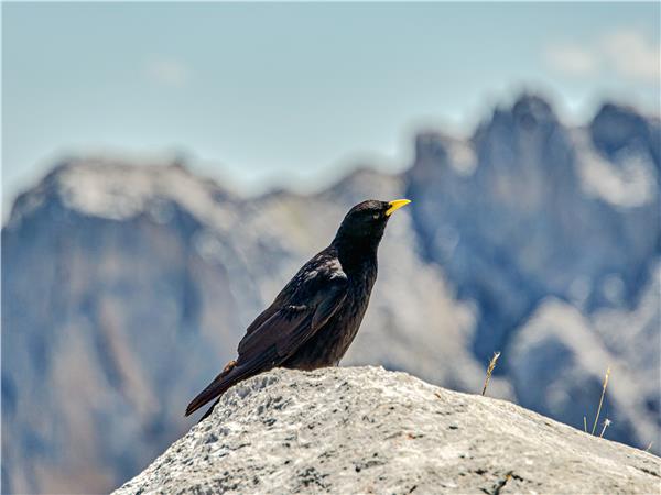 Picos mountains walking holiday in Spain
