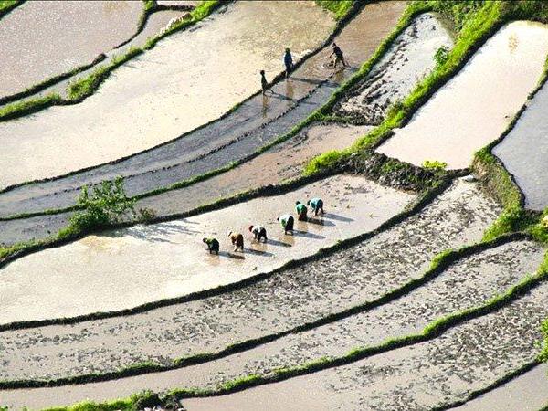 Bhutan small group tour