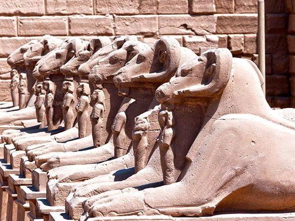 Cultural Extravaganza: A Must-Read Guide to Egypt Escorted Tours Tailored for Indians - Introduction