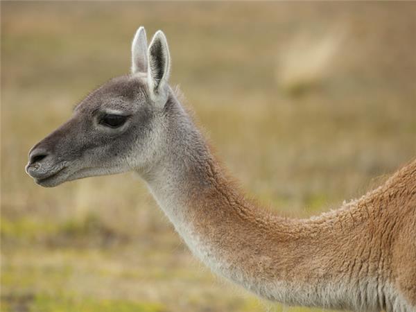 Chile adventure holiday