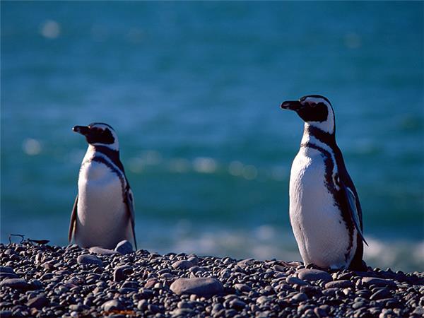 Chile adventure holiday