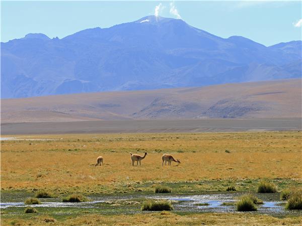 Chile adventure holiday