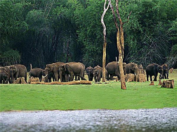 Southern India small group holiday