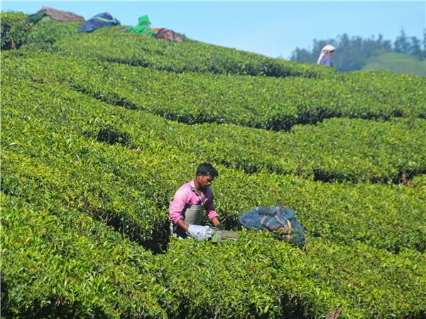 Southern India small group holiday