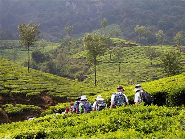 Southern India small group holiday