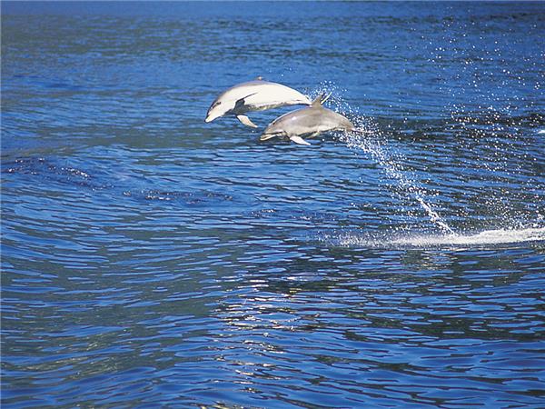 New Zealand adventure holiday