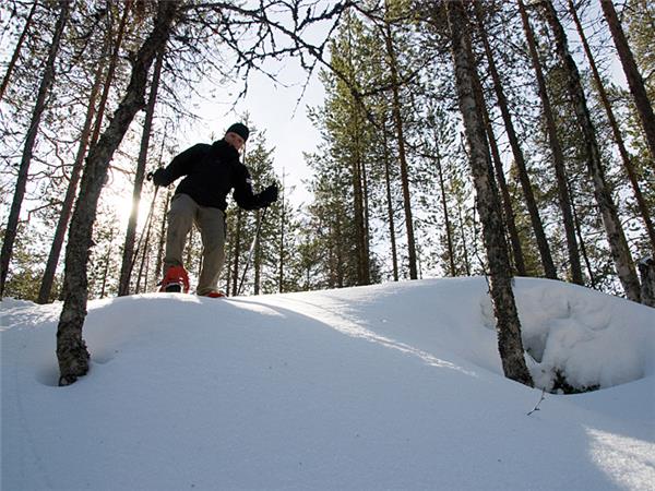 Finland snowshoeing holiday