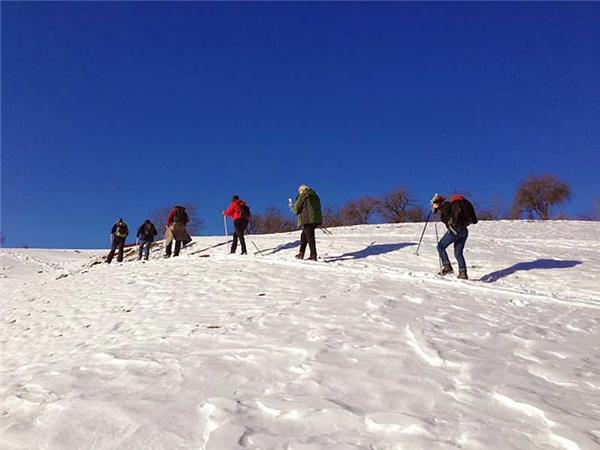Transylvania winter walking & snowshoeing holiday