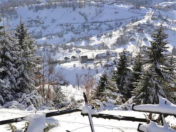 Transylvania winter walking & snowshoeing holiday