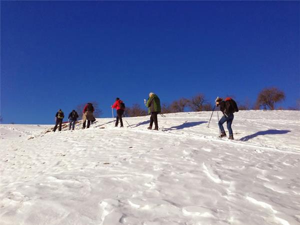 Transylvania winter walking & snowshoeing holiday