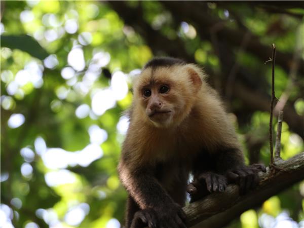 Colombia small group discovery tour