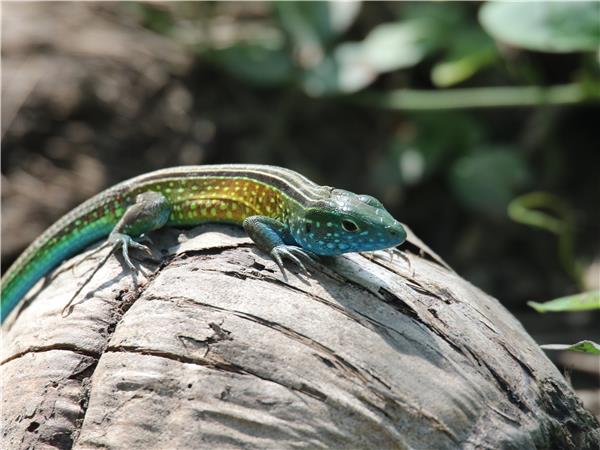 Colombia small group discovery tour