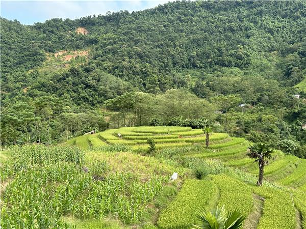 Vietnam activity holiday