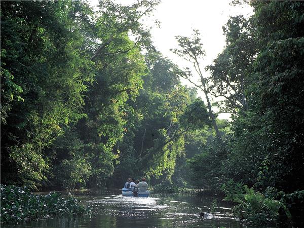 Borneo wildlife holiday