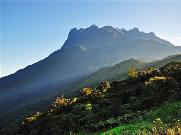 Borneo wildlife holiday