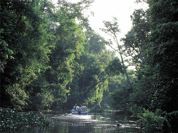 Borneo wildlife holiday