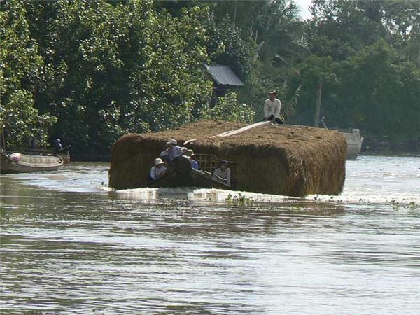 Vietnam and Angkor Wat holiday