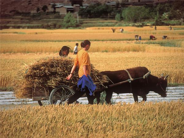 Vietnam adventure holiday