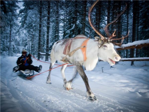 Finnish family winter adventure holiday