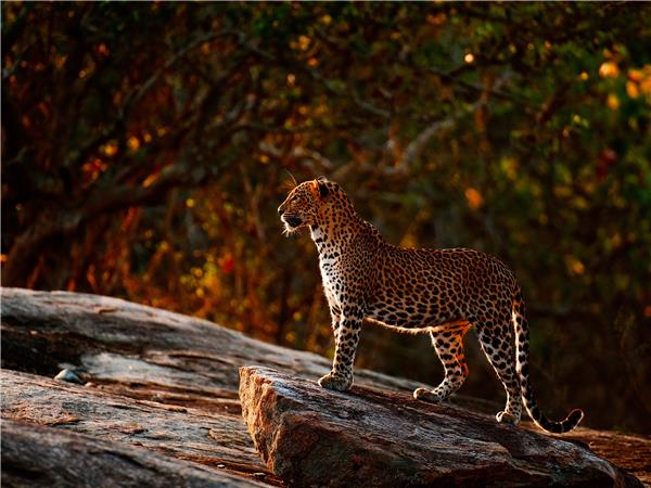 Sri Lanka cycling holiday
