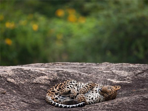 Sri Lanka cycling holiday