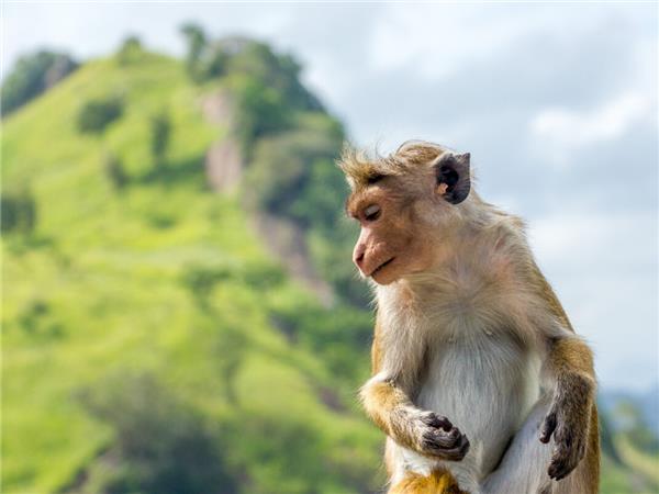 Sri Lanka cycling holiday, off the beaten track