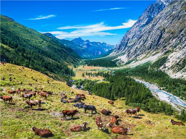 Blanc Nature 5点セット Tour du Mont Blanc Circuit in Comfort | The Natural Adventure