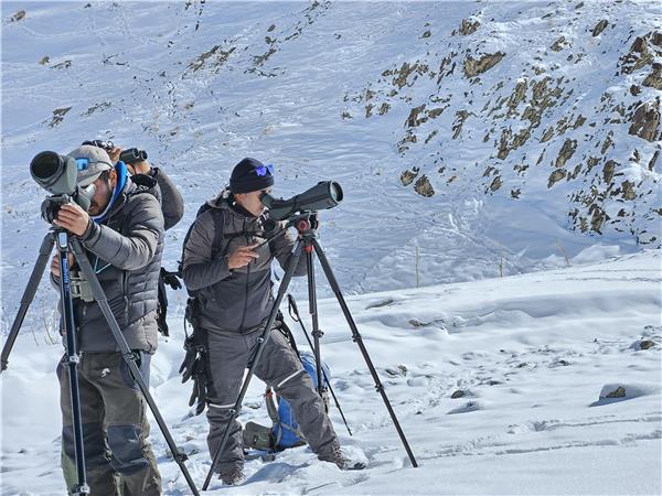 Snow Leopard searching holiday in Ladakh