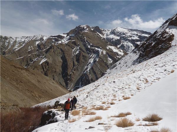 Snow Leopard searching holiday in Ladakh