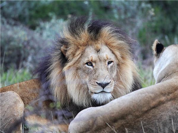South Africa Garden Route luxury holiday