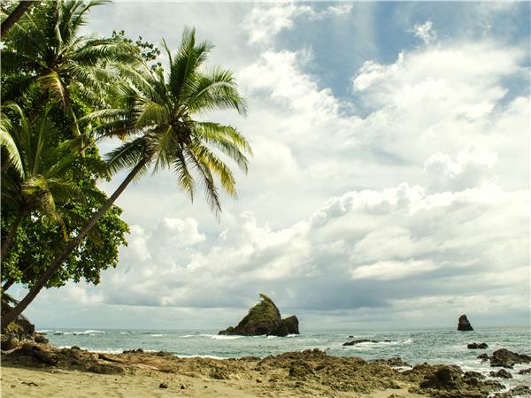 Costa Rica wildlife holiday, Coastal Secrets