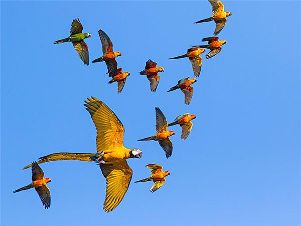 Costa Rica wildlife holiday, Coastal Secrets