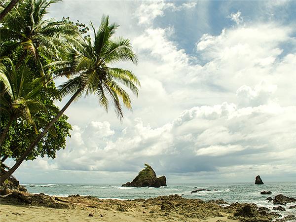 Costa Rica wildlife holiday, Coastal Secrets
