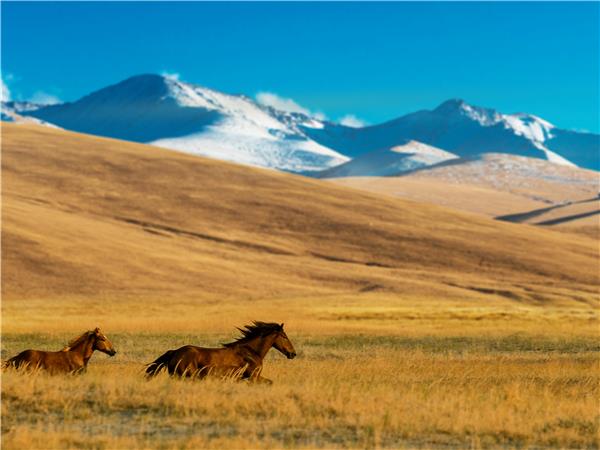 The five stans silk road holiday