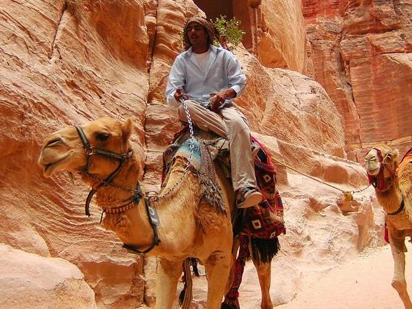 Best of Jordan holiday, 7 days