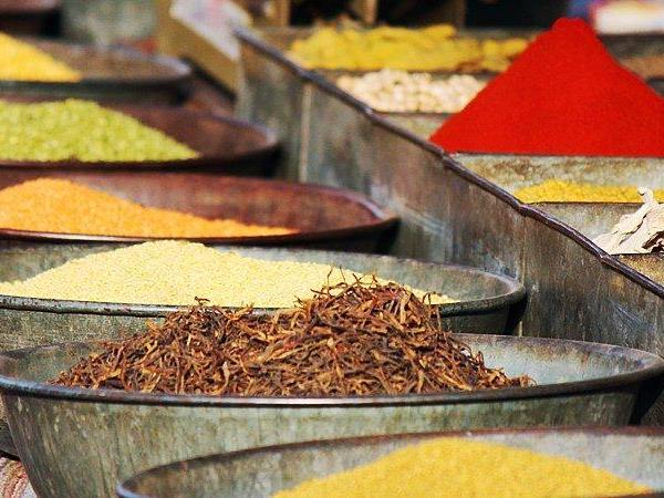 Northern India tour, temples and tigers