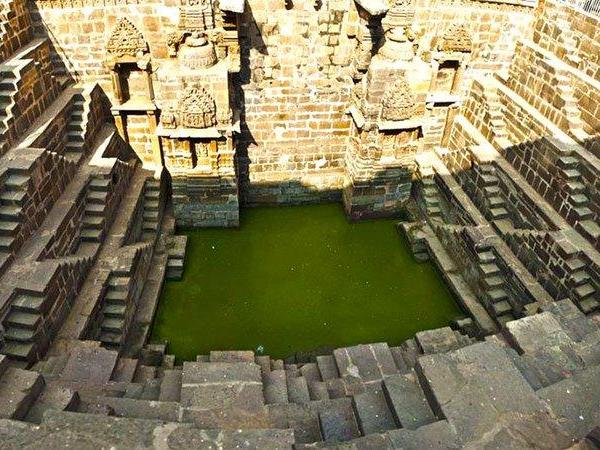 Northern India tour, temples and tigers