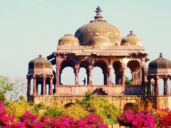 Northern India tour, temples and tigers