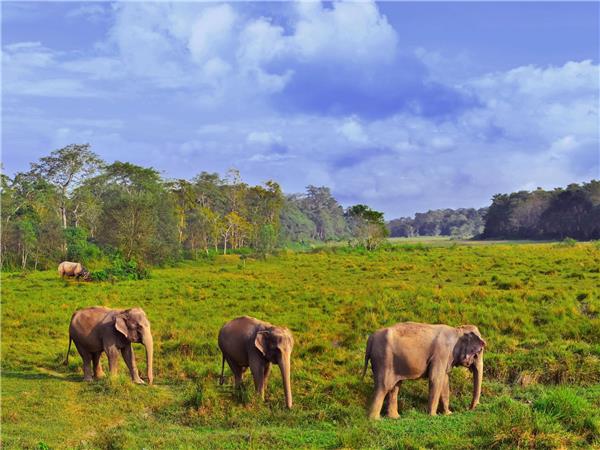 Classic Nepal holiday