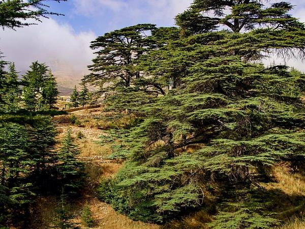 Beirut holiday in Lebanon