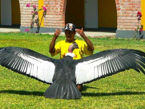 Peru & Bolivia small group holiday