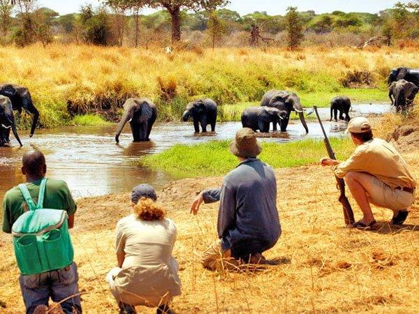 Kruger safari holiday in South Africa