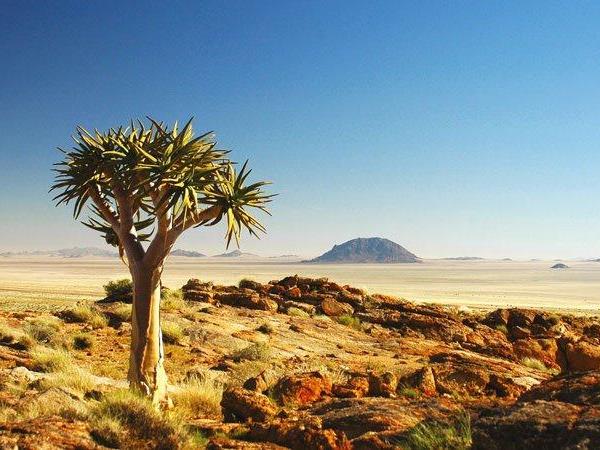 The Grand Southern Africa safari | Responsible Travel