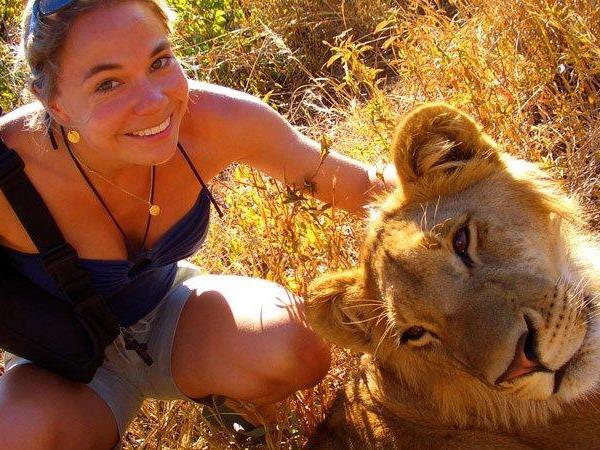 The Grand Southern Africa safari