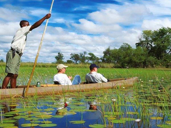 The Grand Southern Africa safari
