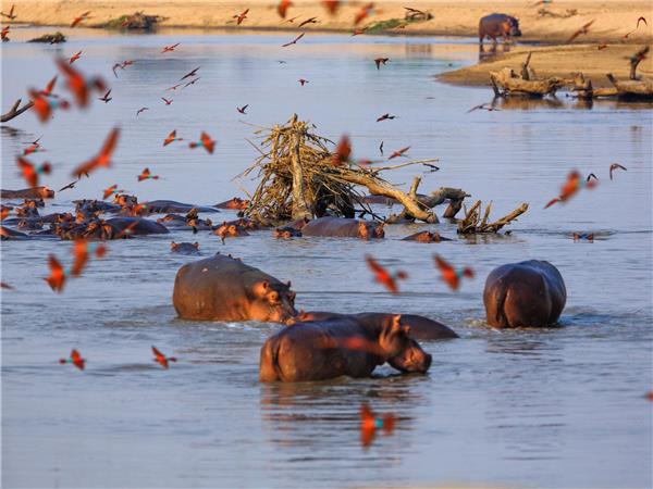 East African budget overland tour