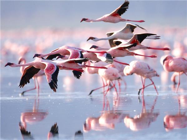 Kenya & Uganda small group holiday
